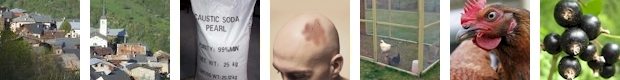 poulailler01.jpg